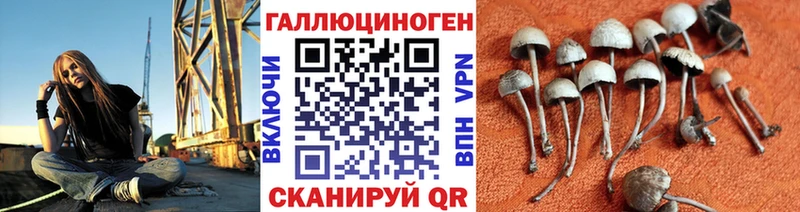 Псилоцибиновые грибы прущие грибы  Купить закладки  Усмань 
