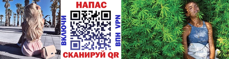Конопля White Widow  Купить где  Усмань 